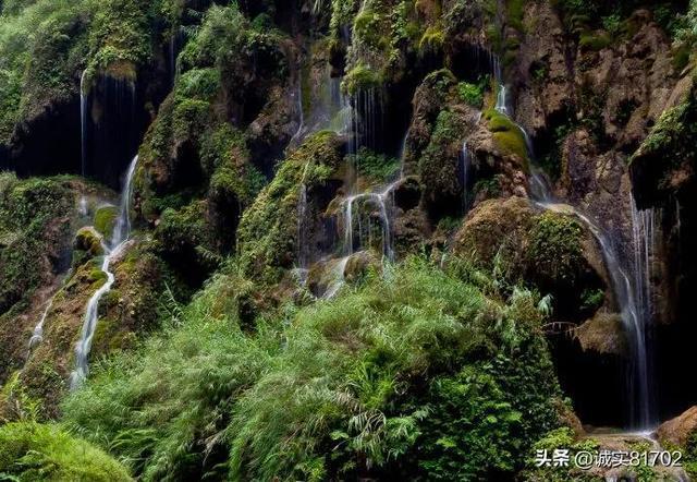 国徽大小与悬挂高度有什么标准？游戏画面